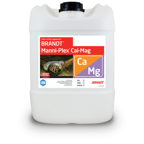 brandt_manni-plex-cal-mag-424x500